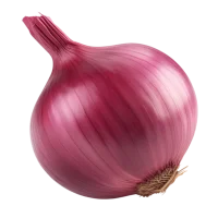 Onion for onion extract